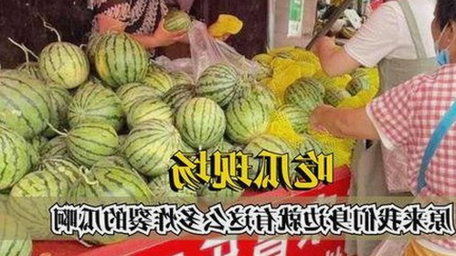 娱乐吃瓜酱情感风波揭秘:背后故事与男友身份浮出水面