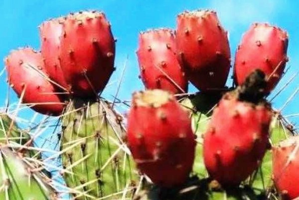 吃瓜现场到幕后揭秘：明星福利视频背后的反差人生