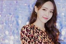 胖猫网络爆红与娱乐圈八卦热议：反差中的人宠魅力与纷争