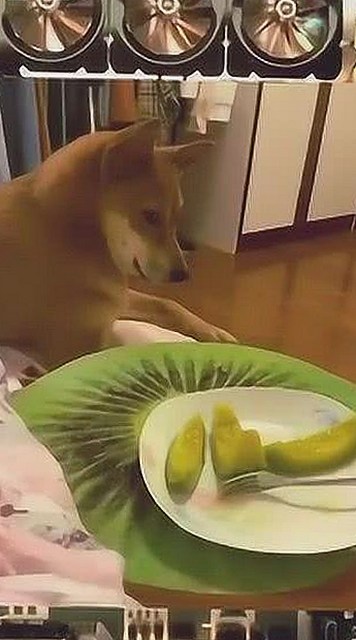 娱乐圈大瓜全纪录：恋情变故、抄袭疑云与法律风波一览