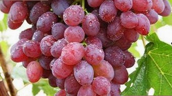 云之羽：颜值演技双在线，娱乐圈低调新星持续发光✨