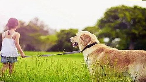 徐海乔直播曝择偶标准 与张馨予合作新剧拍摄花絮引关注