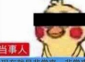 吃瓜酱叔叔揭秘娱乐圈幕后故事，娱乐吃瓜君37带来最新热点