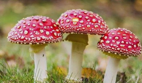 从黑料曝光到舆论风暴：娱乐圈吃瓜大事件时间线回顾