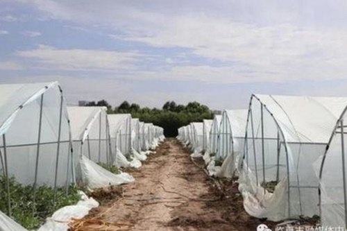 秦霄贤被曝不认字，娱乐圈“吃瓜”瞬间再掀波澜