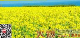 秦霄贤被曝不认字，娱乐圈“吃瓜”热议不断