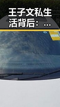王子文私生活背后：明星形象的多重面貌与变迁