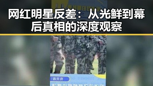 网红明星反差：从光鲜到幕后真相的深度观察