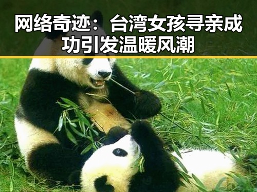 网络奇迹：台湾女孩寻亲成功引发温暖风潮