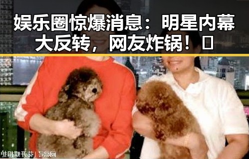 娱乐圈惊爆消息：明星内幕大反转，网友炸锅！🔥